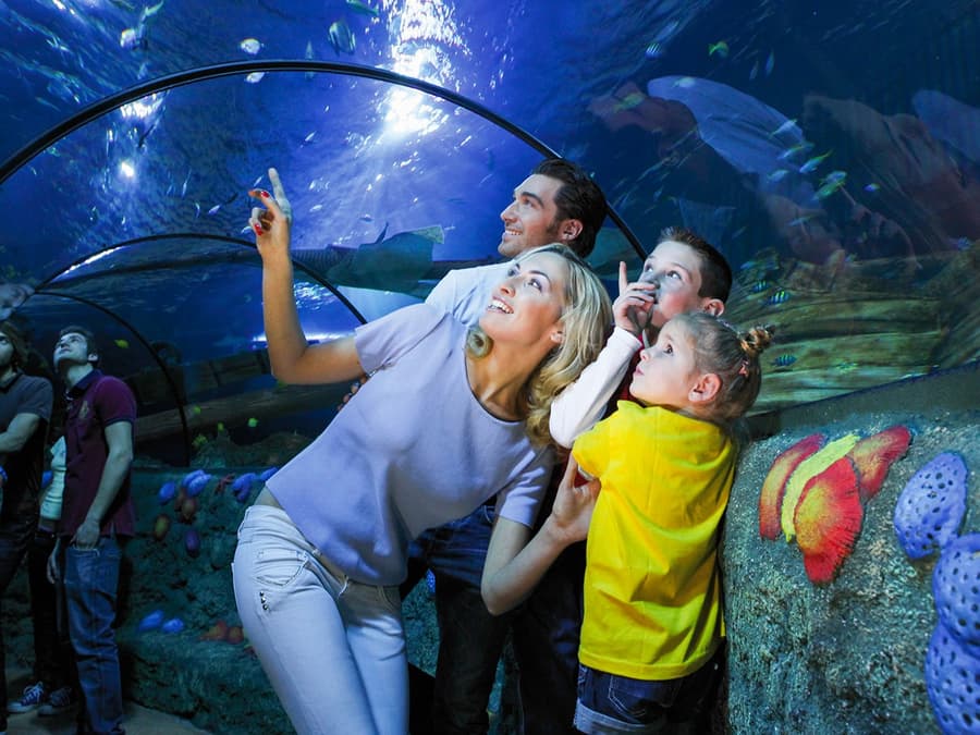 Gardaland Sea Life Aquarium Entry Tickets