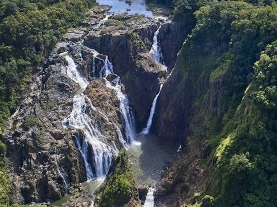 ব্যারন জলপ্রপাত, ক্যাটানা ওয়েটল্যান্ড এবং স্কাইরেইল রেইনফরেস্ট কেবলওয়ে: ট্যুর + লাঞ্চ