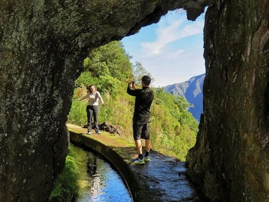 Enchanted Terraces: Guided Madeira Excursion