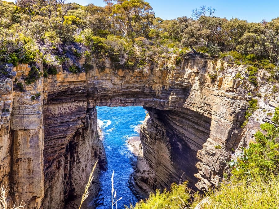 From Hobart: Port Arthur & Tasmanian Devils Guided Tour