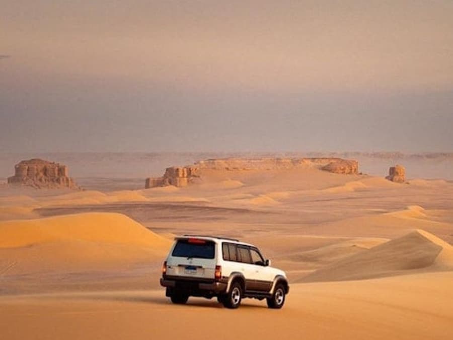 Wadi El Rayan: 4X4 Ørken Safari, Sandboarding & Kamelridning fra Cairo eller Giza