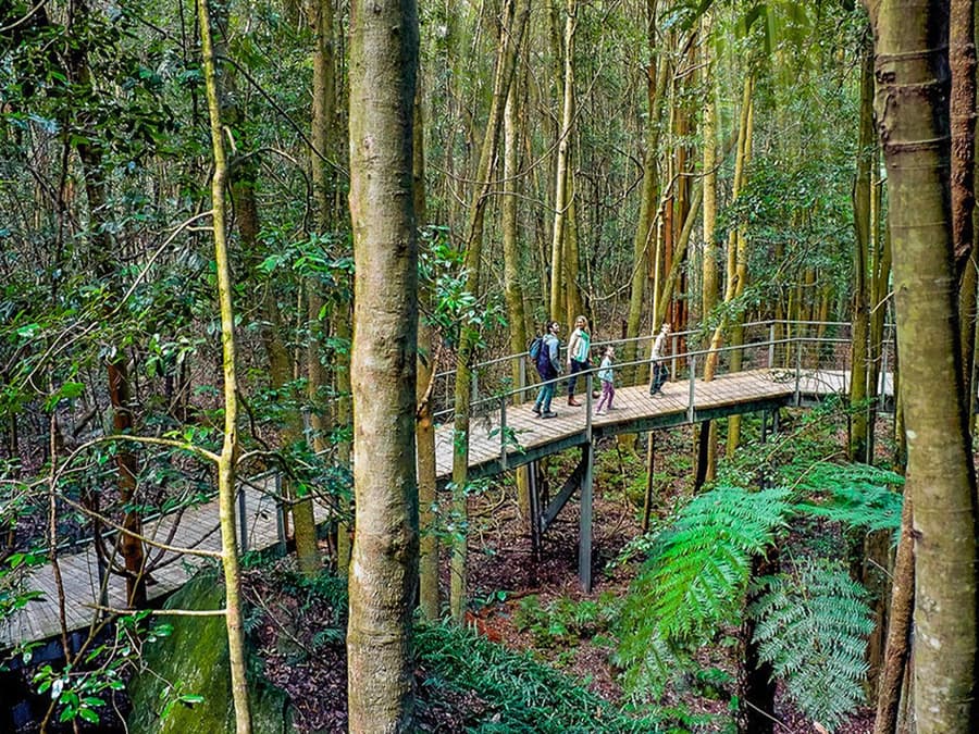 Blue Mountains Scenic World Tickets