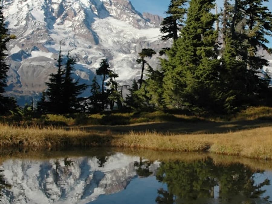 Mt. Rainier: Alles-Inclusief Kleine Groep Dagtrip vanuit Seattle