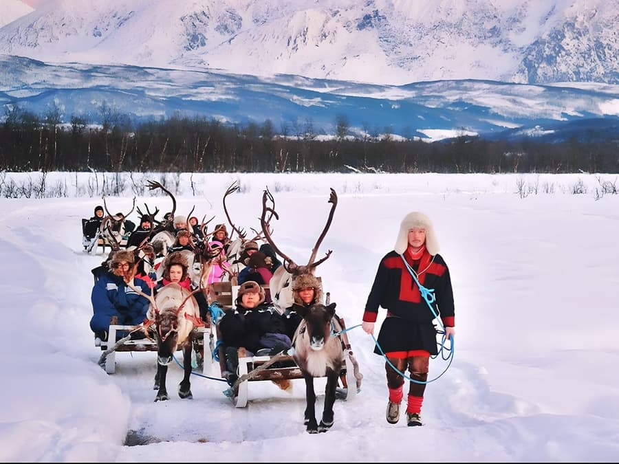 Reindeer Sledding & Sami Culture Guided Tour with Hot Drinks & Meal