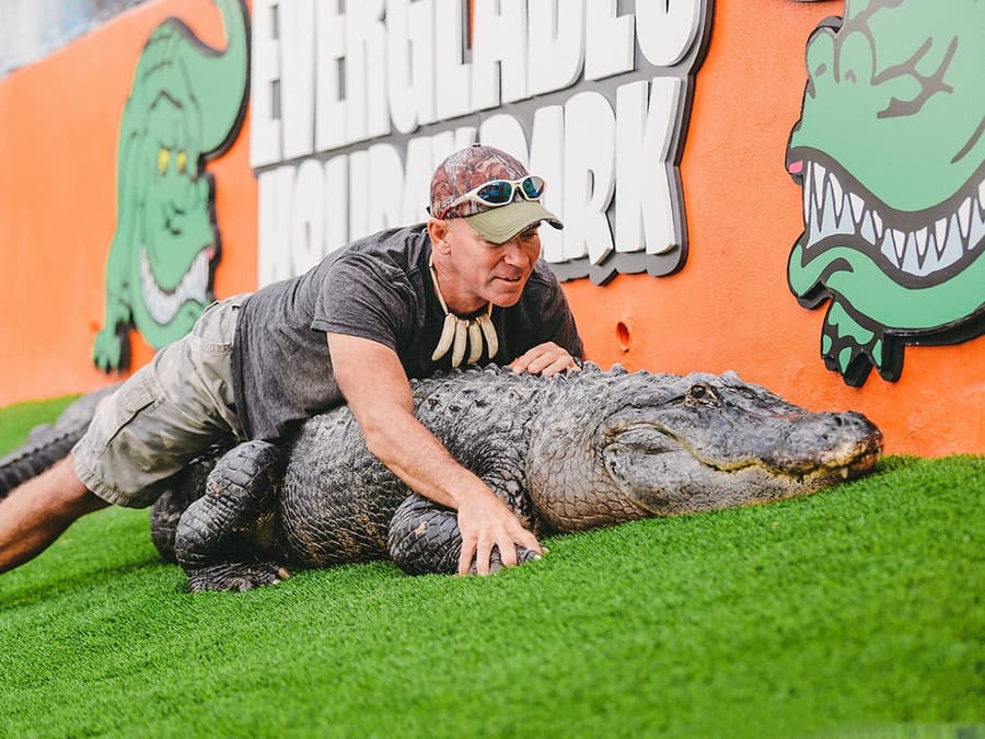 Miami: Everglades Holiday Park Airboat Tour with Alligator Show