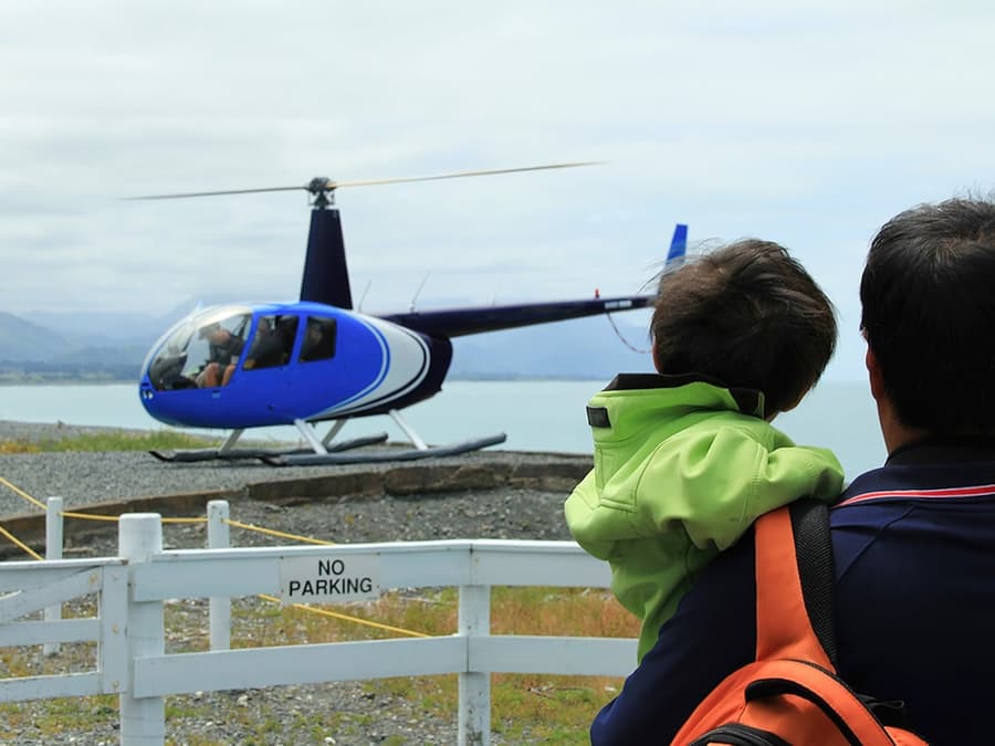 Kaikoura Classic Whale-Watching Helicopter Tour