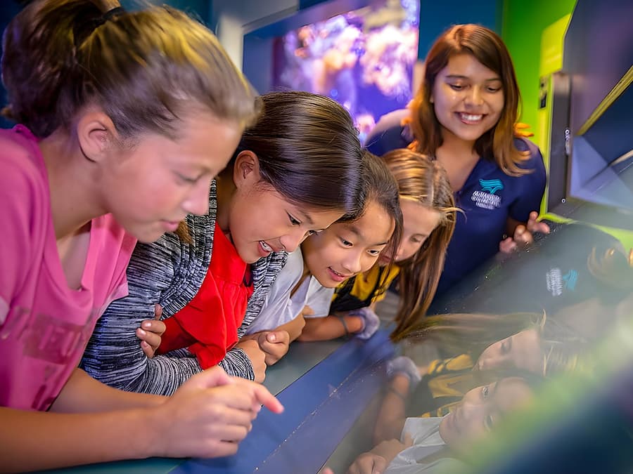 Aquarium of the Pacific Skip-the-Line Tickets