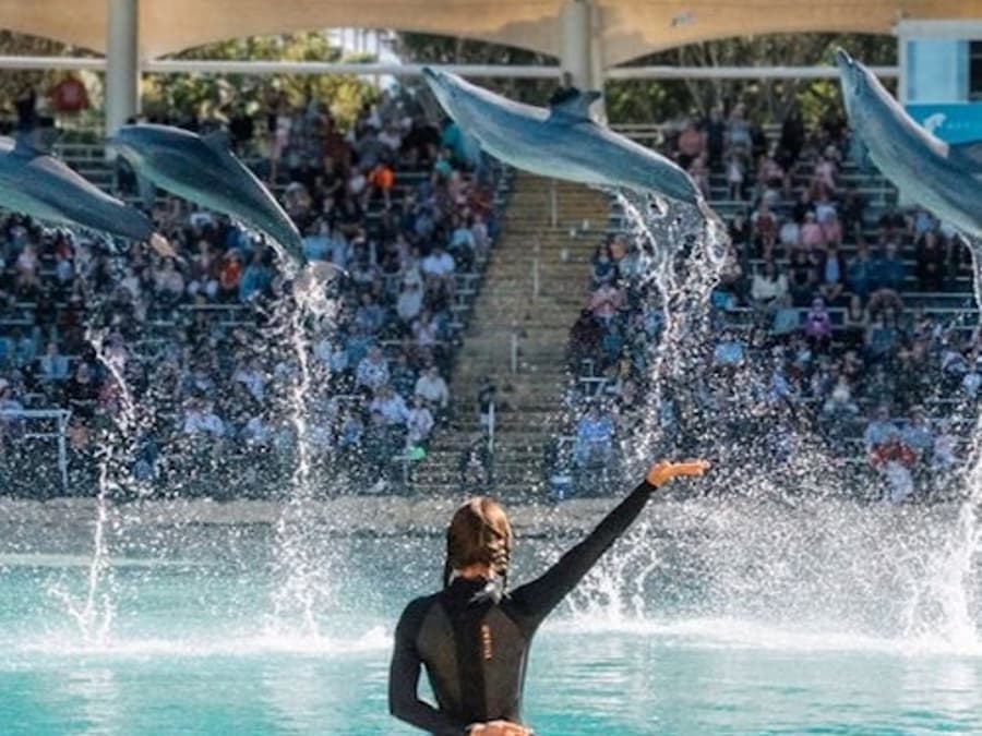 Sea World Single Day Pass Ticket