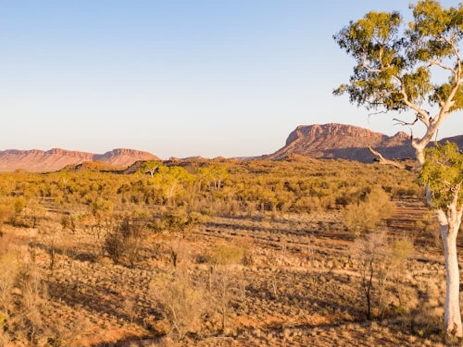 West MacDonnell Ranges: Guided Tour + Roundtrip Transfer + Lunch
