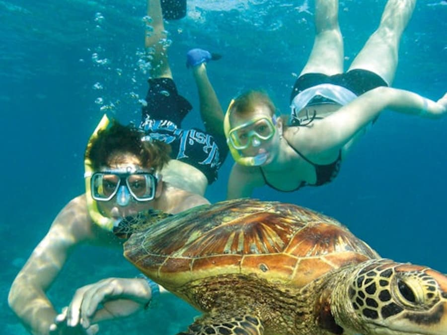 Green Island Eco Adventure Tour: Catamaran Cruise from Cairns