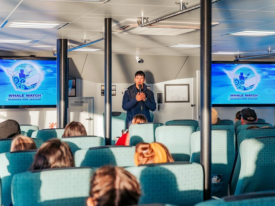 Kaikoura Whale Watching Cruise