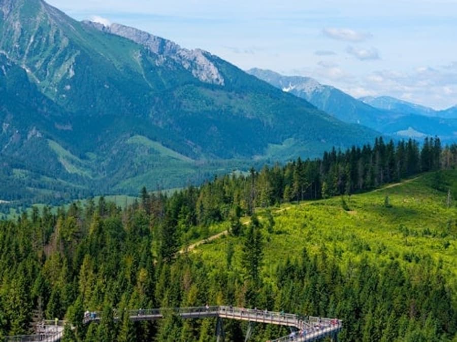 Zdiar : Treetop Walk Bachledka Private Tour from Krakow