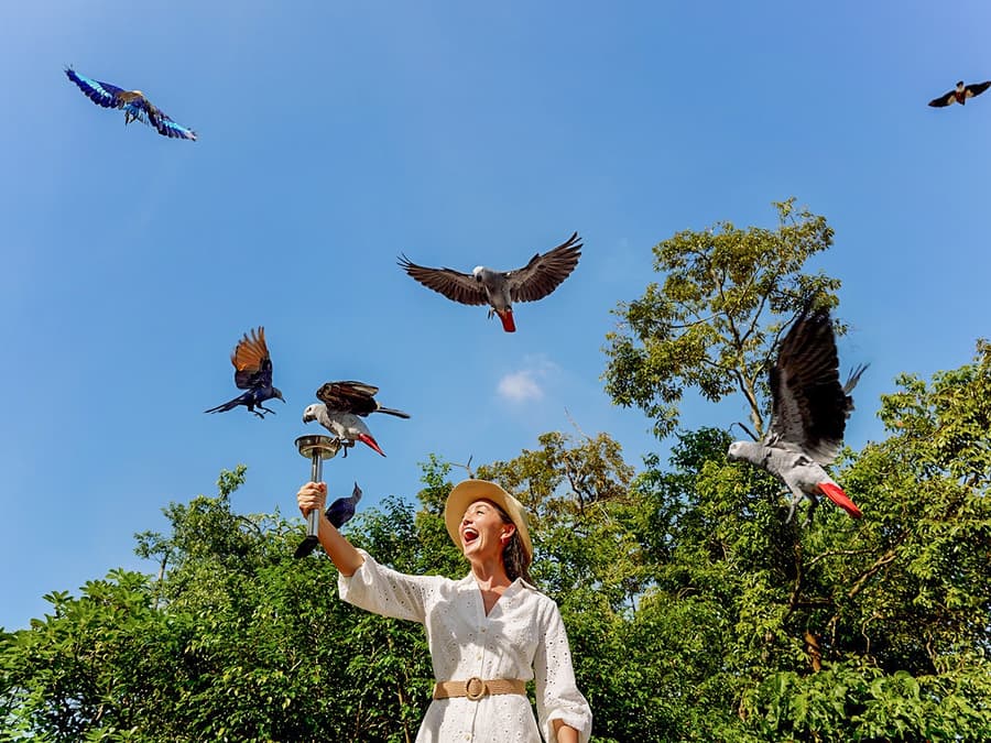 Mandai Wildlife Destination-pas
