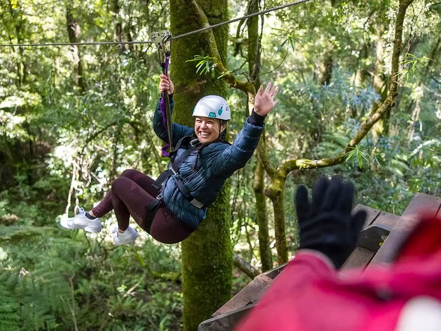 Rotorua Forest Zipline Experience