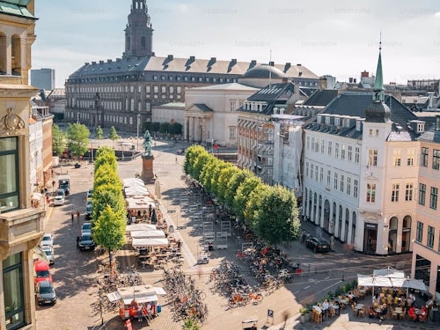 Copenhagen: Guided Walking Tour in French