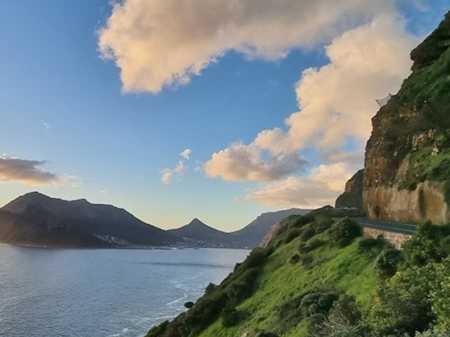 Cape Peninsula: Full-Day Guided Tour + Roundtrip Transfer
