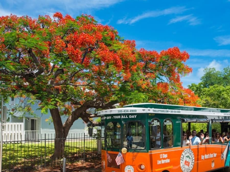 Cayo Hueso: Tour de Trolley por el Casco Antiguo con Paradas Libres