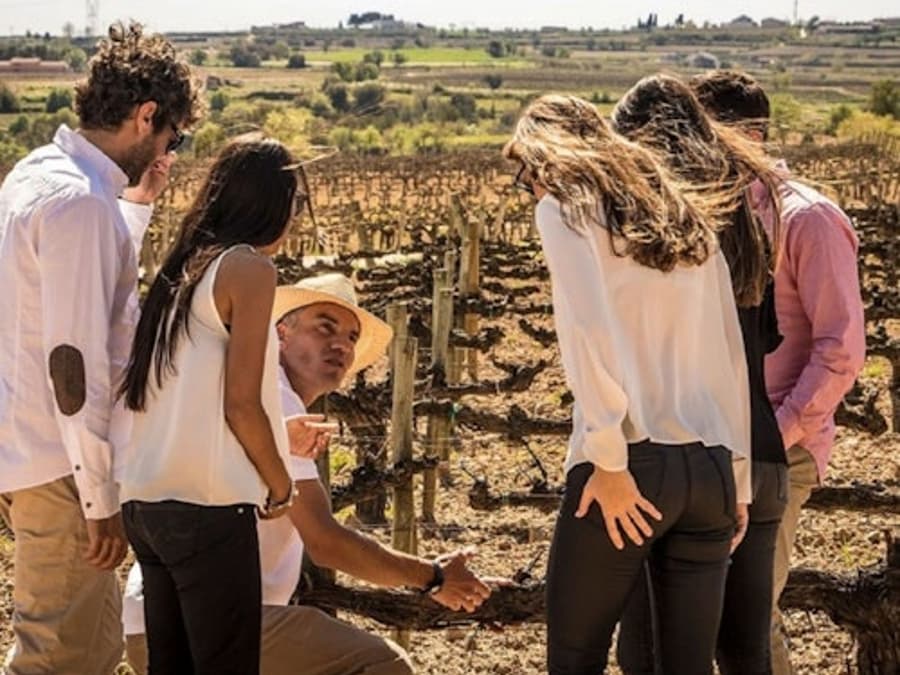 Barcelona: Small-Group Sailing Experience + Winery Visit & Tasting