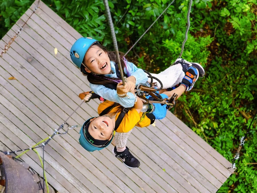 Flying Hanuman: 28 Platforms Zipline Adventure with Optional Round-Trip Transfers