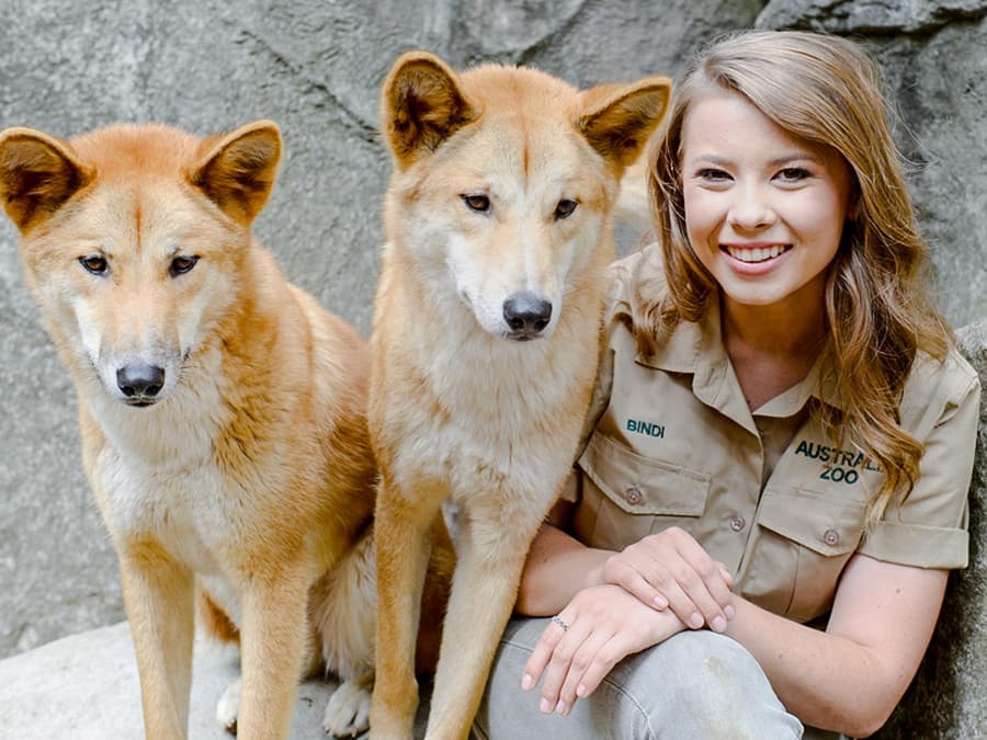 From Brisbane: Australia Zoo Tickets with Transfers