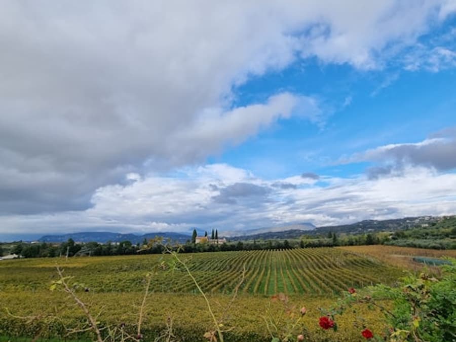 Lago de Garda: Degustación de vinos + Tour por el viñedo de Bardolino