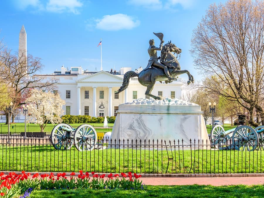 From NYC: Washington DC Day Tour