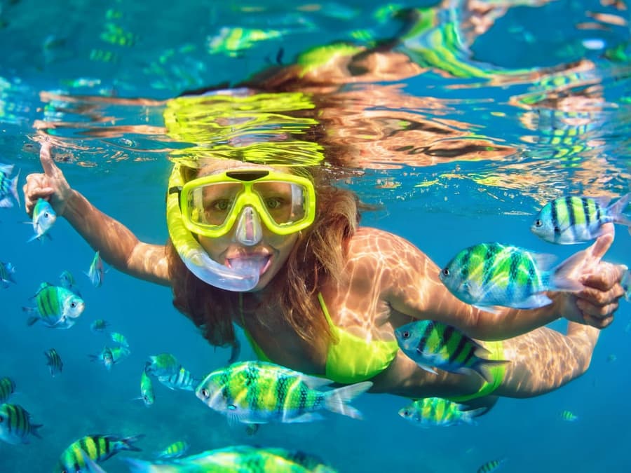 From Phuket: Phi Phi Island & Maya Bay Tour by Speedboat with Lunch & Hotel Transfers