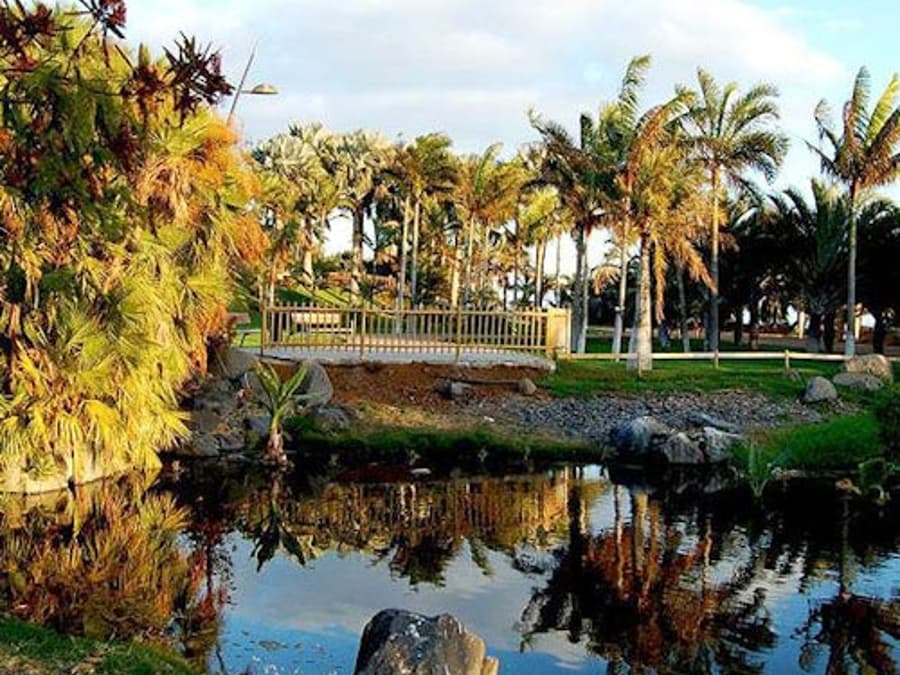 Palmetum of Santa Cruz de Tenerife: Entry Ticket