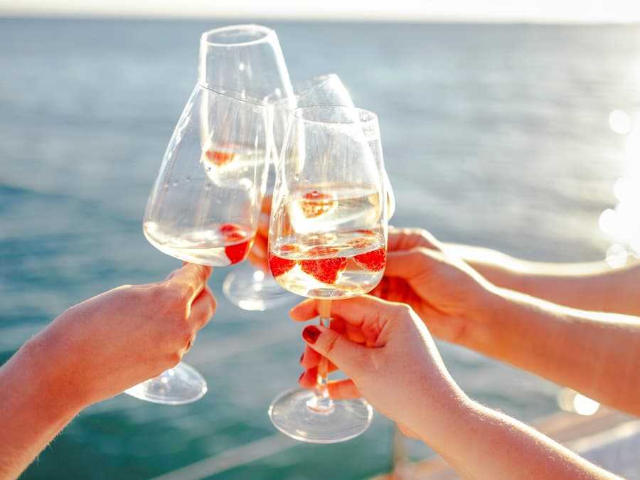 Croisière en catamaran le long de la côte d'Athènes avec déjeuner et vin