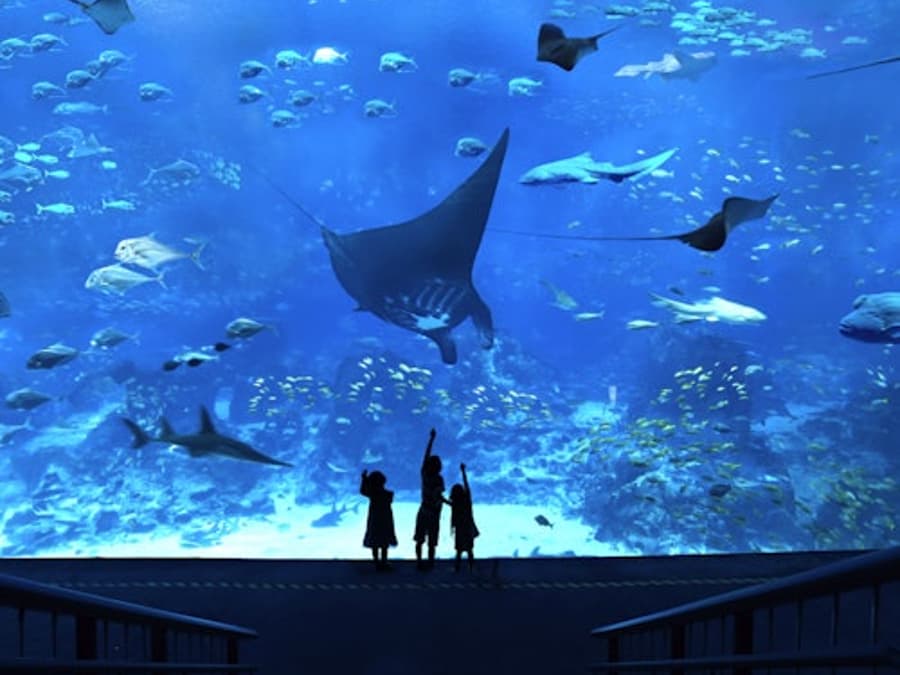 Sentosa Fun Pass: Bespaar tot 55% op Attracties en Meer