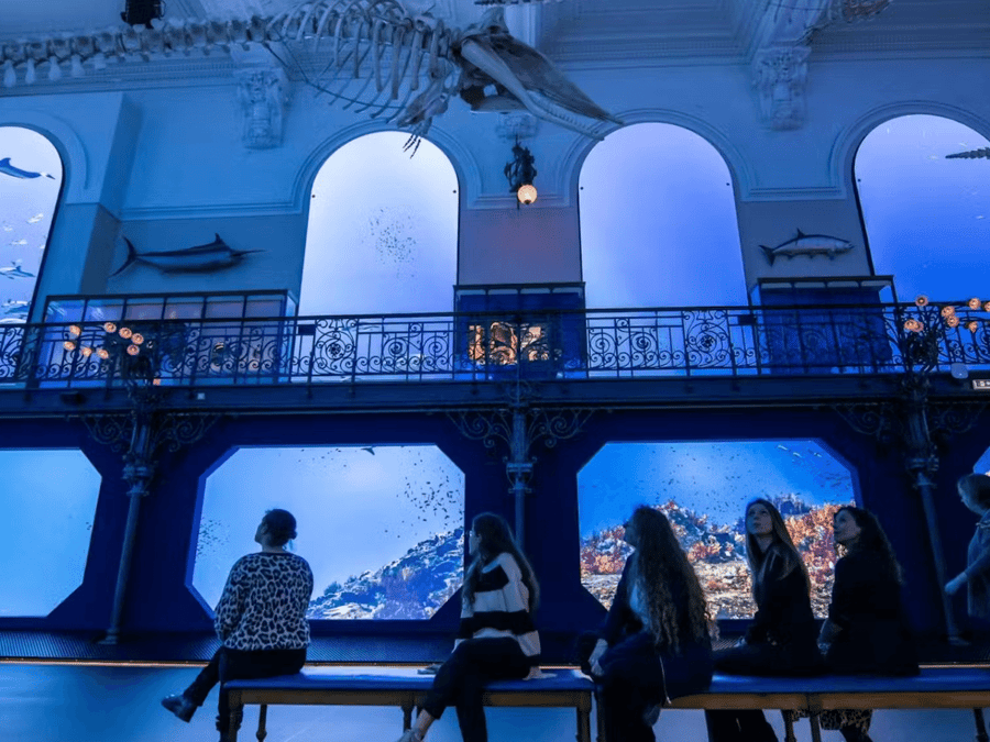 Musée Océanographique de Monaco