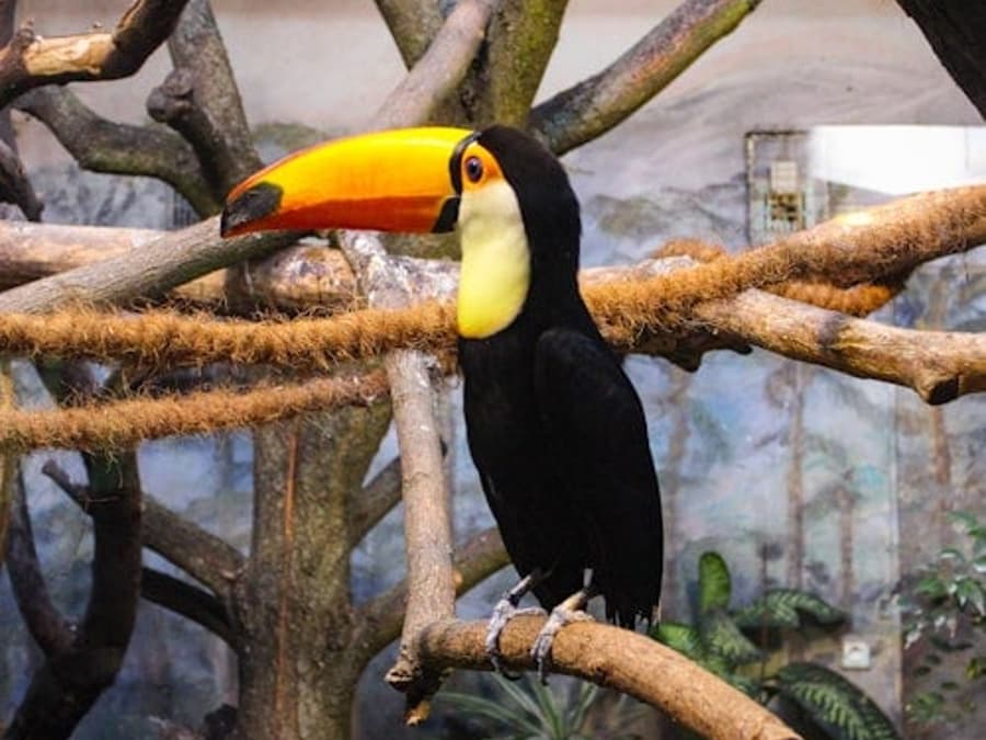 Warsaw Zoo Park with Private Transport