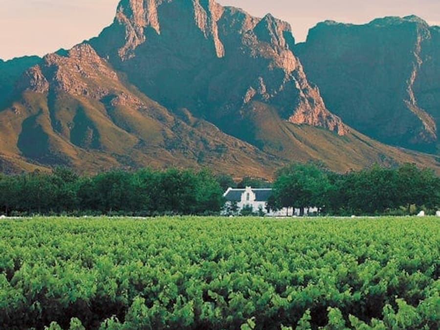 Winelands & Stellenbosch-Franschhoek: Private Wine Tasting Tour