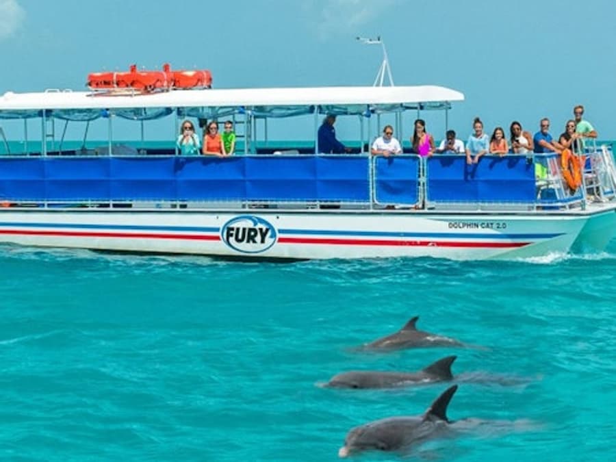 Cayo Hueso: Tour Ecológico para Avistamiento de Delfines