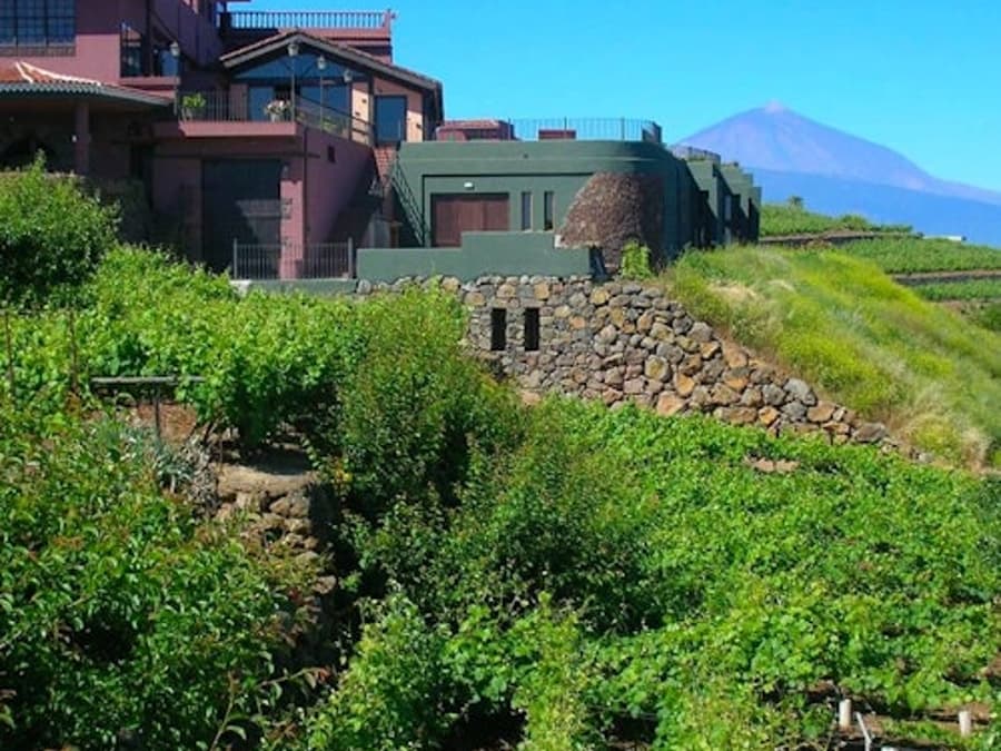 Bodegas Monje: Winery Visit & Wine Tasting