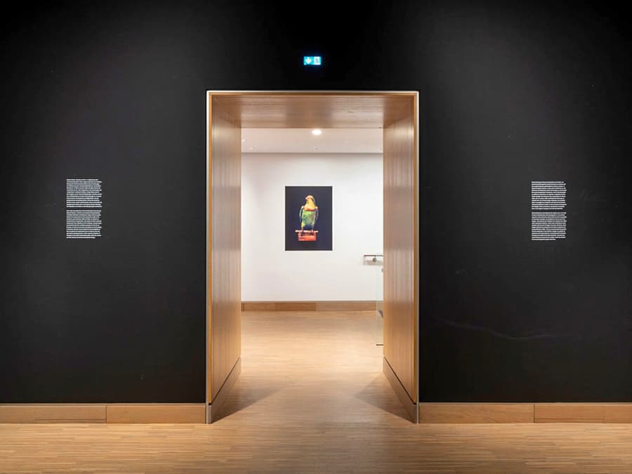 Albertina Modern Entry Tickets