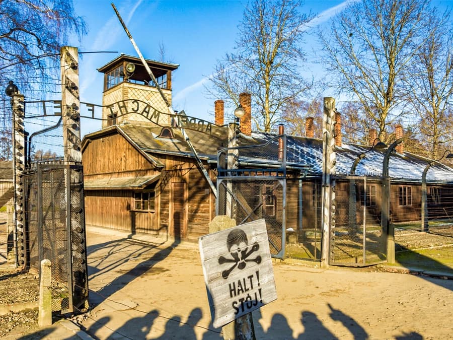 Tour de día completo de Auschwitz-Birkenau y la Mina de Sal de Wieliczka con traslados desde Cracovia y almuerzo