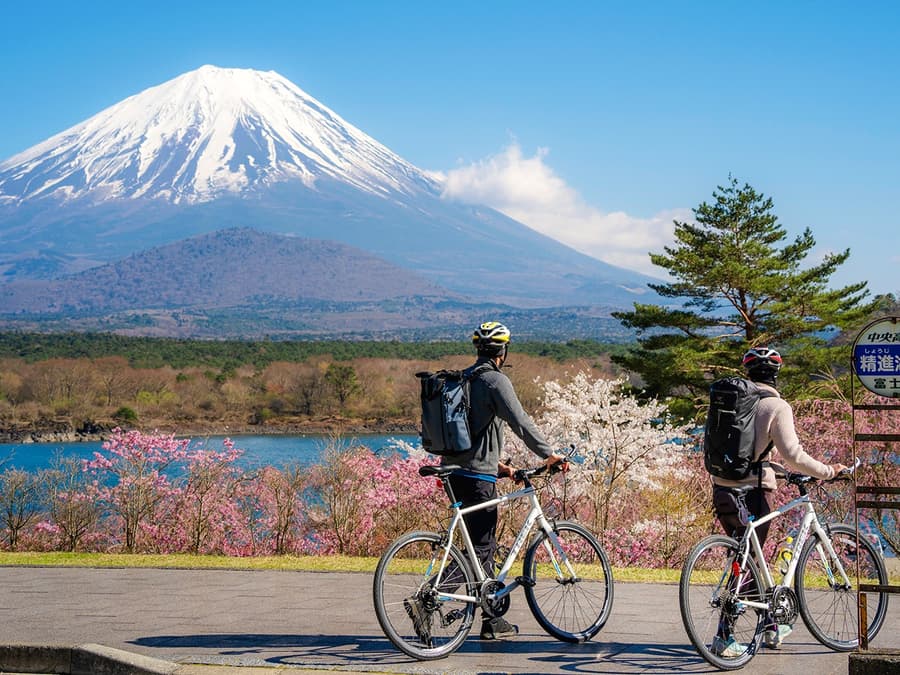 Tour guidato di un giorno al Monte Fuji con Lago Kawaguchi e Lago Yamanaka