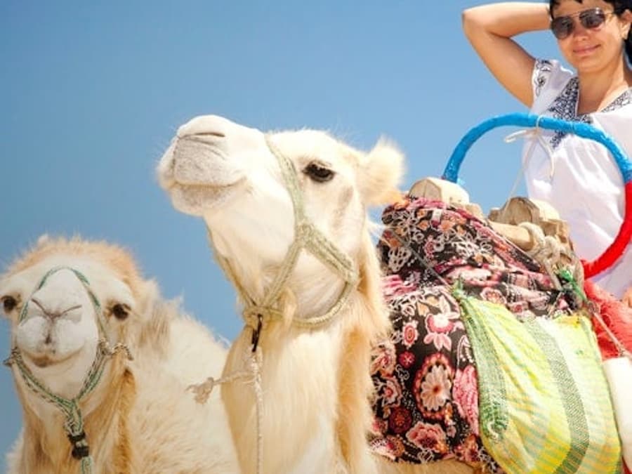 Hurghada: 1-Hr Guided Camel Ride + Transfer