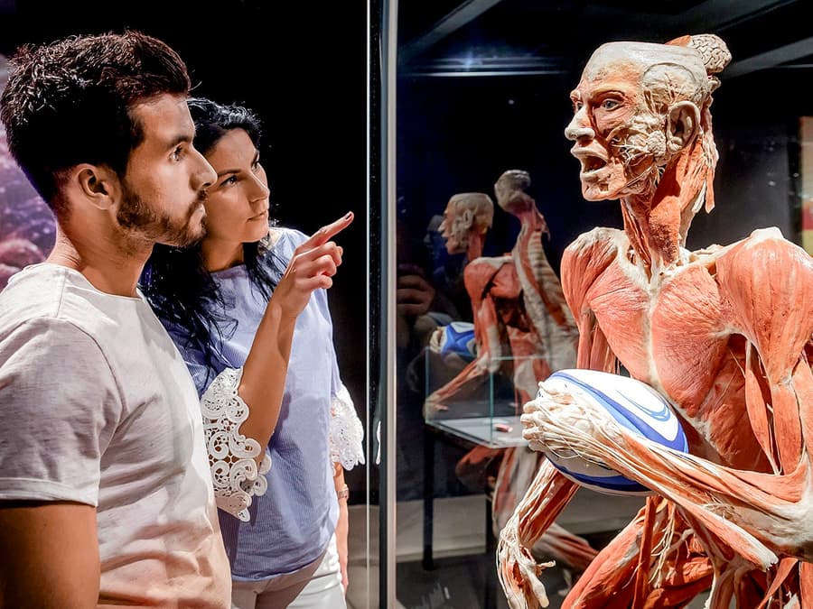 Tiket Muzium BODY WORLDS Berlin