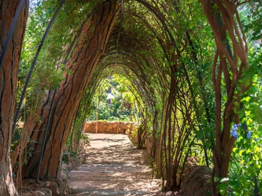 Park Güell & Gaudí-Haus-Museum: Eintrittskarte + Audioguide
