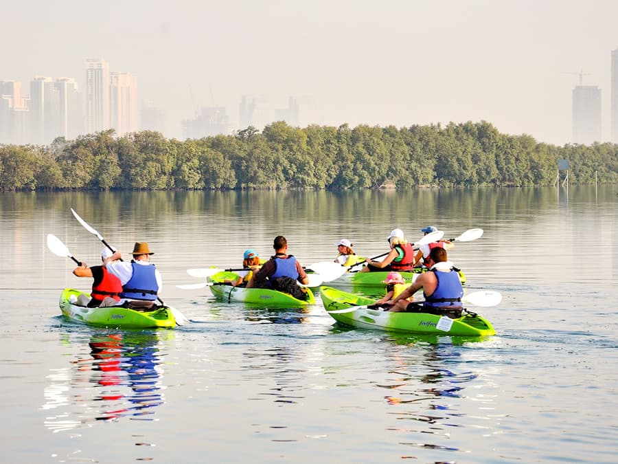 Tickets to Mangrove Kayaking in Abu Dhabi