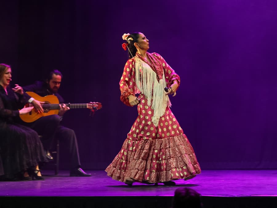 મદ્રિદ ફલેમેન્કો થિયેટર - ભાવનાઓનું શો