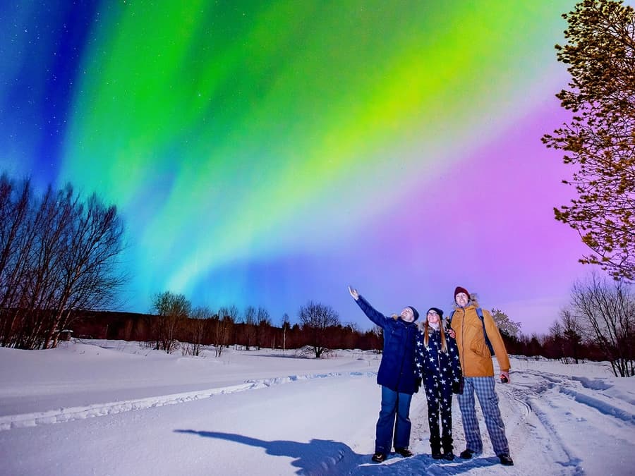 Reykjavik: Northern Lights & Golden Circle Full Day Trip