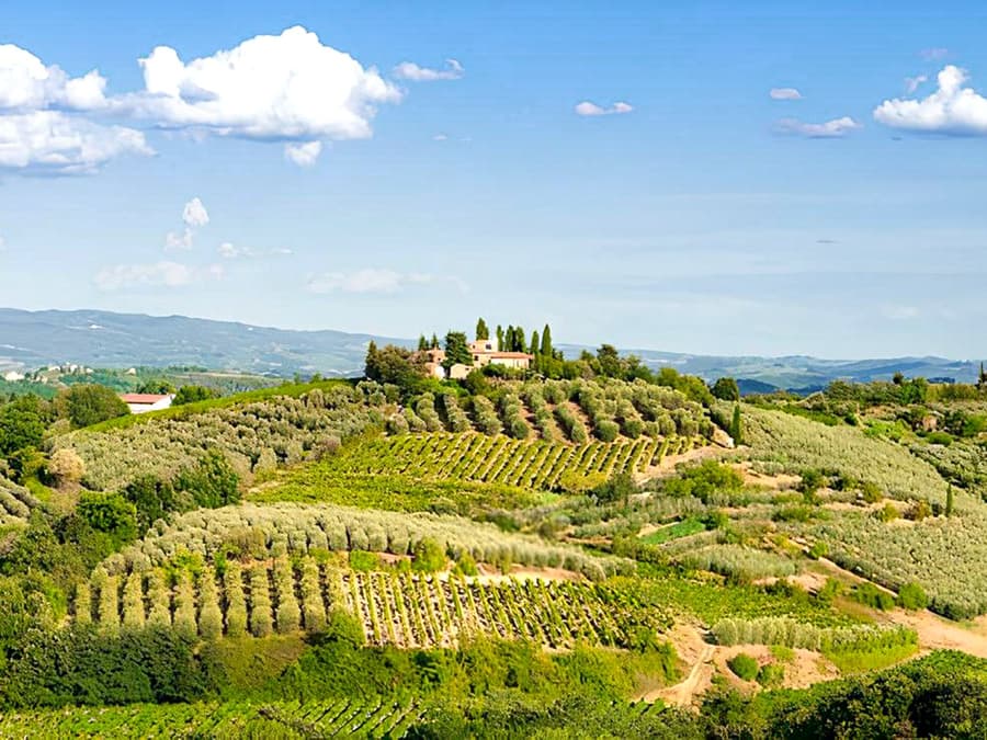 Desde Florencia: Tour de Degustación de Vinos en Chianti