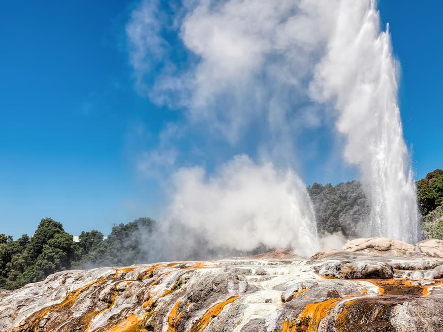 From Auckland: Waitomo Caves, Rotorua & Te Puia Guided Tour