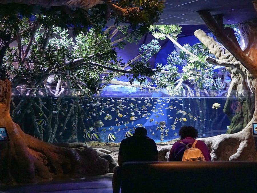 Seville Aquarium Tickets