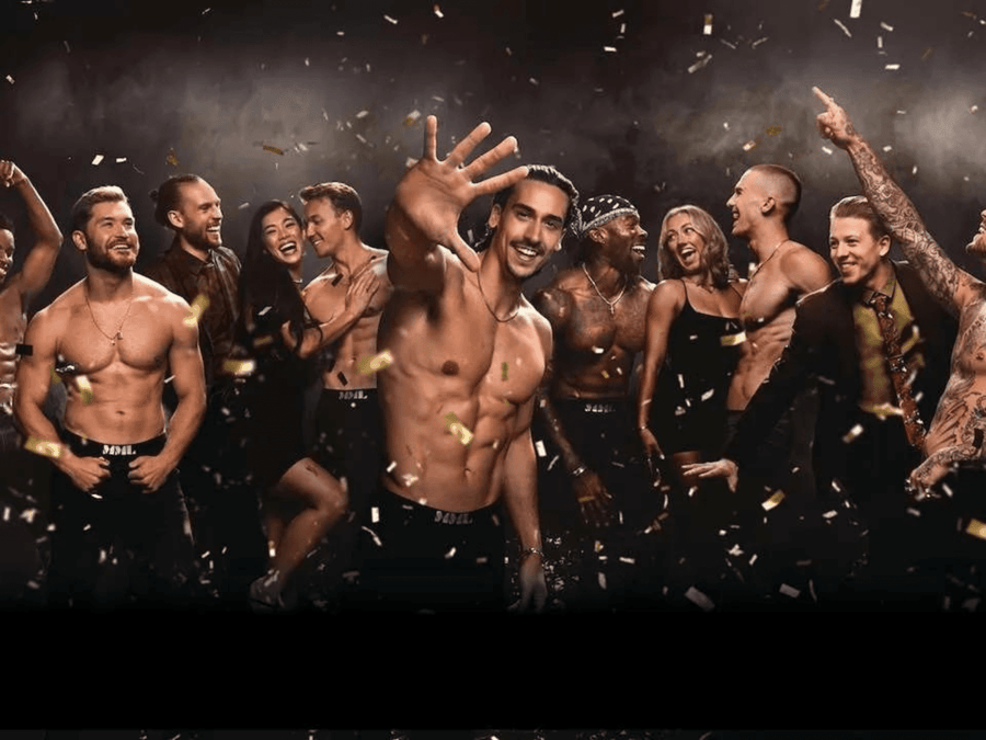Magic Mike Live
