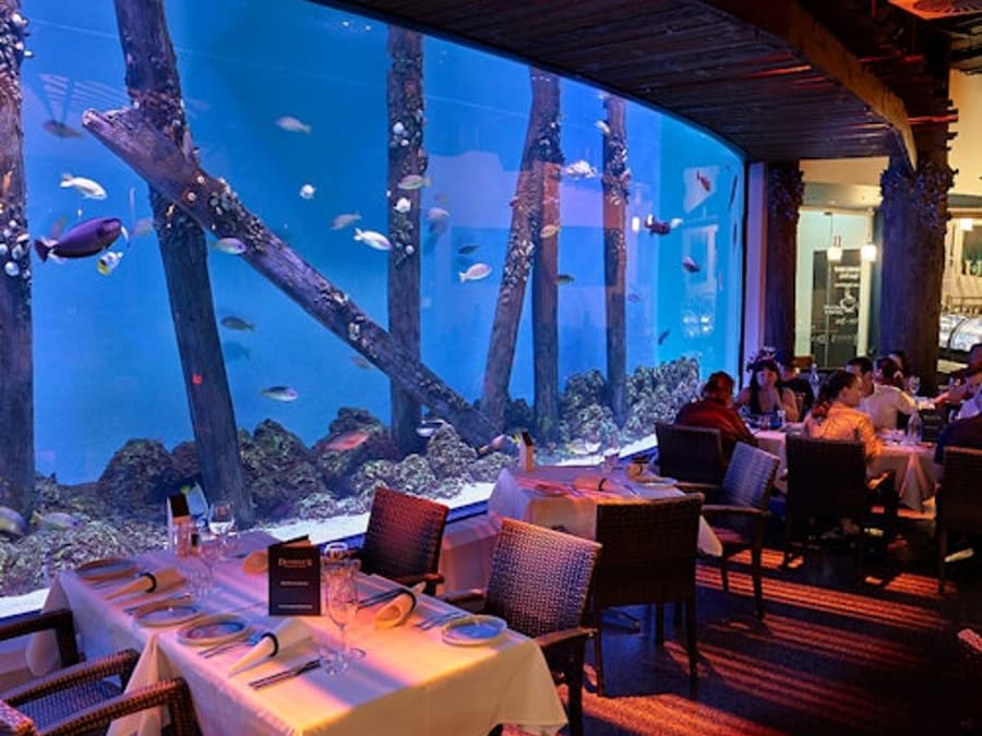 Cairns Aquarium by Twilight with Dinner