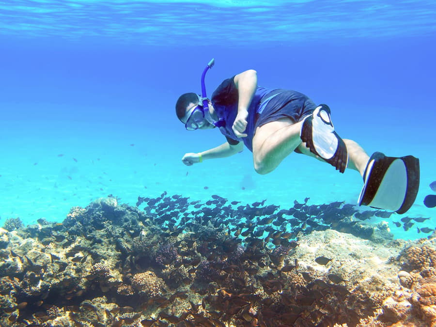 From Sharm El Sheikh: Tiran Island Cruise with Diving, Snorkeling & Lunch